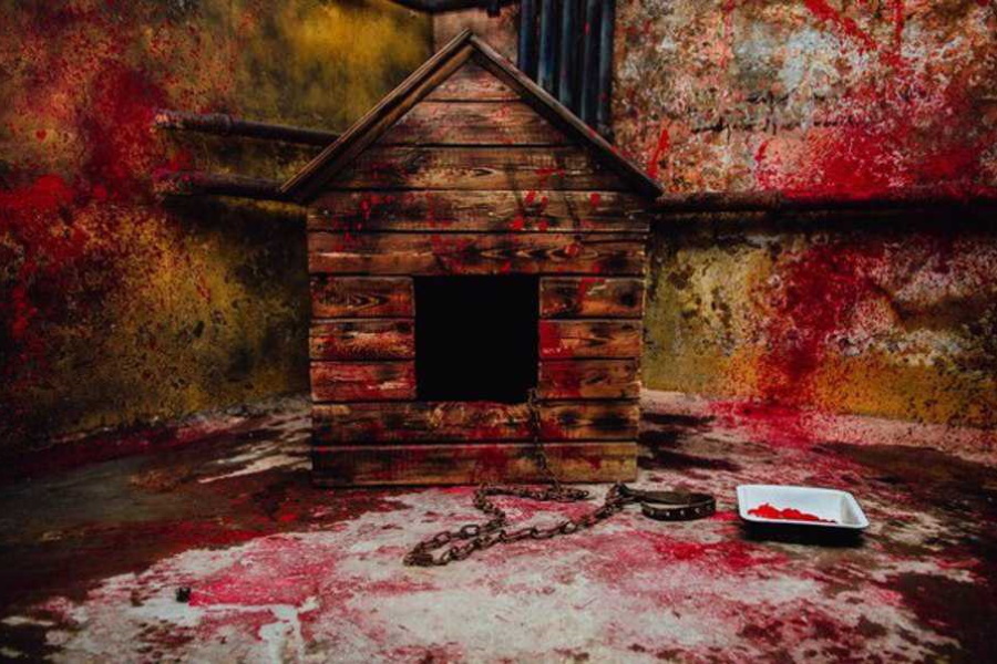 Квест в реальности Кровавое логово от компании Паранойя Квест в реальности Кровавое логово от компании Паранойя